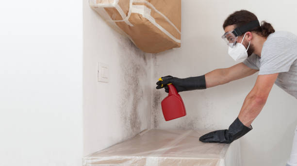 Professional Bathroom Mold Removal technician working in Triangle, VA