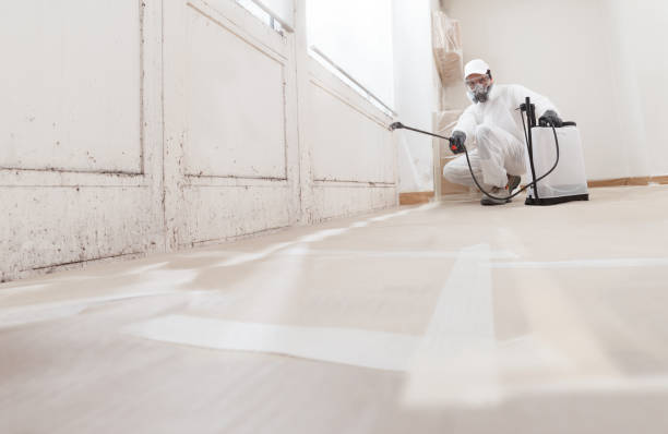24/7 Emergency Bathroom Mold Removal experts in Triangle, VA