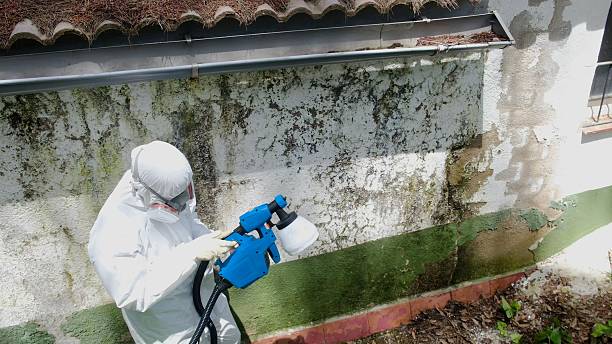 Top rated local Bathroom Mold Removal specialists in Triangle, VA